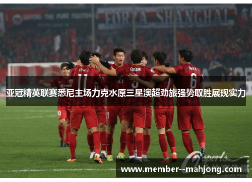 亚冠精英联赛悉尼主场力克水原三星澳超劲旅强势取胜展现实力