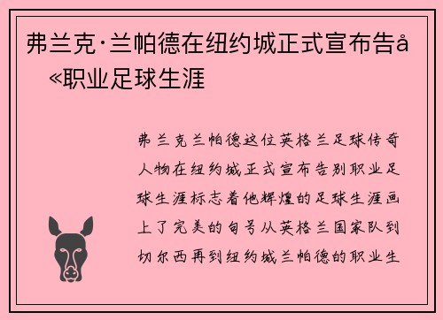 弗兰克·兰帕德在纽约城正式宣布告别职业足球生涯
